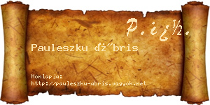Pauleszku Ábris névjegykártya